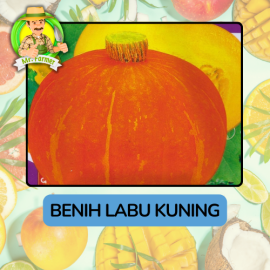 Benih Buah Buahan Bibit Biji Tanaman Organik