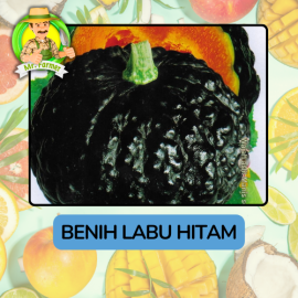 Benih Buah Buahan Bibit Biji Tanaman Organik