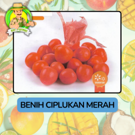 Benih Buah Buahan Bibit Biji Tanaman Organik