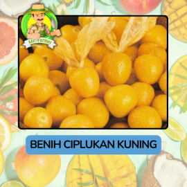 Benih Buah Buahan Bibit Biji Tanaman Organik