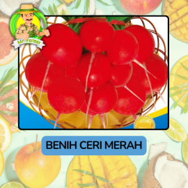Benih Buah Buahan Bibit Biji Tanaman Organik