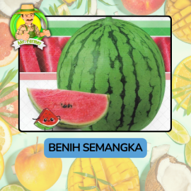 Benih Buah Buahan Bibit Biji Tanaman Organik