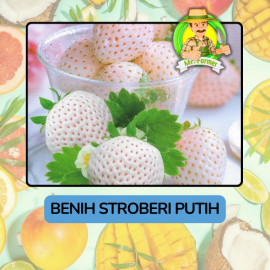 Benih Buah Buahan Bibit Biji Tanaman Organik