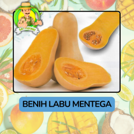 Benih Buah Buahan Bibit Biji Tanaman Organik