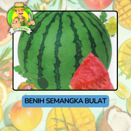 Benih Buah Buahan Bibit Biji Tanaman Organik