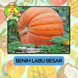 Benih Buah Buahan Bibit Biji Tanaman Organik