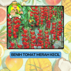 Benih Buah Buahan Bibit Biji Tanaman Organik