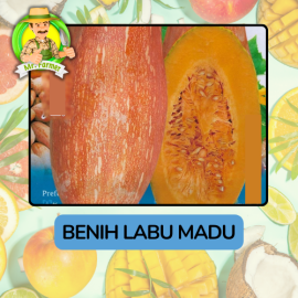 Benih Buah Buahan Bibit Biji Tanaman Organik