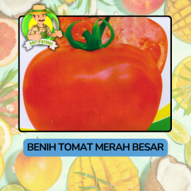 Benih Buah Buahan Bibit Biji Tanaman Organik