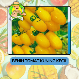 Benih Buah Buahan Bibit Biji Tanaman Organik