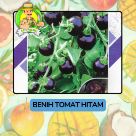 Benih Buah Buahan Bibit Biji Tanaman Organik
