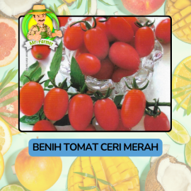 Benih Buah Buahan Bibit Biji Tanaman Organik