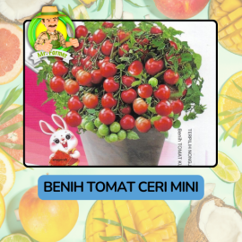 Benih Buah Buahan Bibit Biji Tanaman Organik