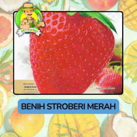 Benih Buah Buahan Bibit Biji Tanaman Organik