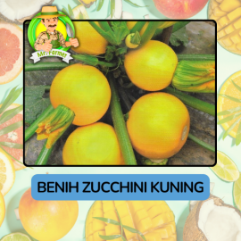 Benih Buah Buahan Bibit Biji Tanaman Organik