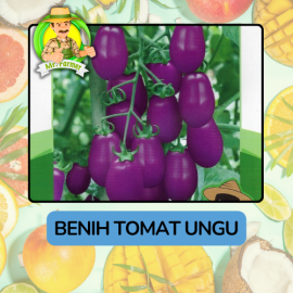 Benih Buah Buahan Bibit Biji Tanaman Organik