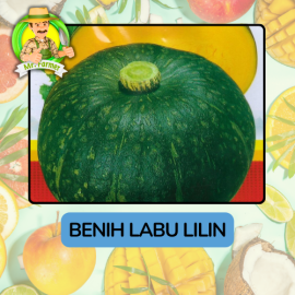Benih Buah Buahan Bibit Biji Tanaman Organik