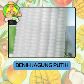 Benih Buah Buahan Bibit Biji Tanaman Organik