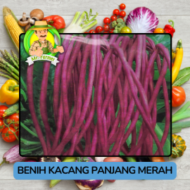 Benih Sayuran Kacang Panjang Bibit Biji Tanaman 