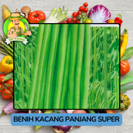 Benih Sayuran Kacang Panjang Bibit Biji Tanaman 