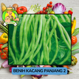 Benih Sayuran Kacang Panjang Bibit Biji Tanaman 