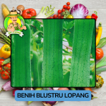 Benih Sayuran Labu Bibit Biji Tanaman