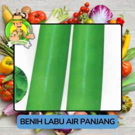 Benih Sayuran Labu Bibit Biji Tanaman