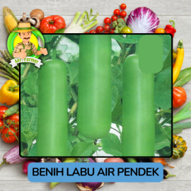 Benih Sayuran Labu Bibit Biji Tanaman