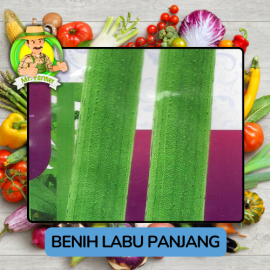 Benih Sayuran Labu Bibit Biji Tanaman