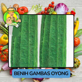 Benih Sayuran Labu Bibit Biji Tanaman