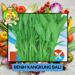 Benih Sayuran Kangkung Bibit Biji Tanaman