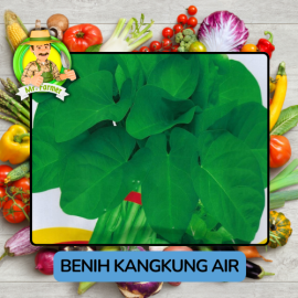 Benih Sayuran Kangkung Bibit Biji Tanaman