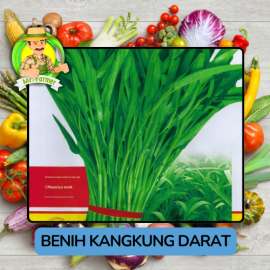Benih Sayuran Kangkung Bibit Biji Tanaman