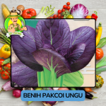 Benih Sayuran Pakcoi Bibit Biji Tanaman