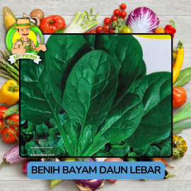 Benih Sayuran Bayam Bibit Biji Tanaman