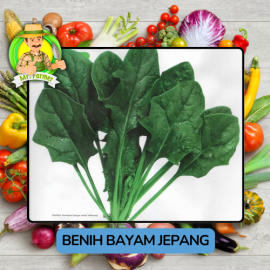 Benih Sayuran Bayam Bibit Biji Tanaman