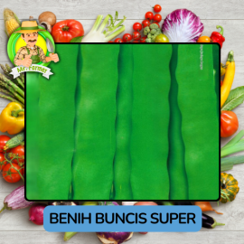 Benih Sayuran Buncis  Bibit Biji Tanaman