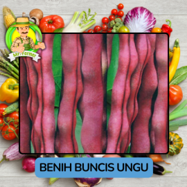 Benih Sayuran Buncis  Bibit Biji Tanaman
