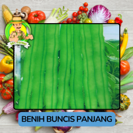 Benih Sayuran Buncis  Bibit Biji Tanaman