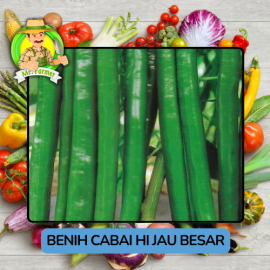 Benih Cabai Rawit Besar Paprika Bibit Biji Tanaman