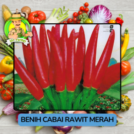 Benih Cabai Rawit Besar Paprika Bibit Biji Tanaman