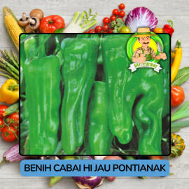 Benih Cabai Rawit Besar Paprika Bibit Biji Tanaman