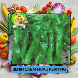 Benih Cabai Rawit Besar Paprika Bibit Biji Tanaman