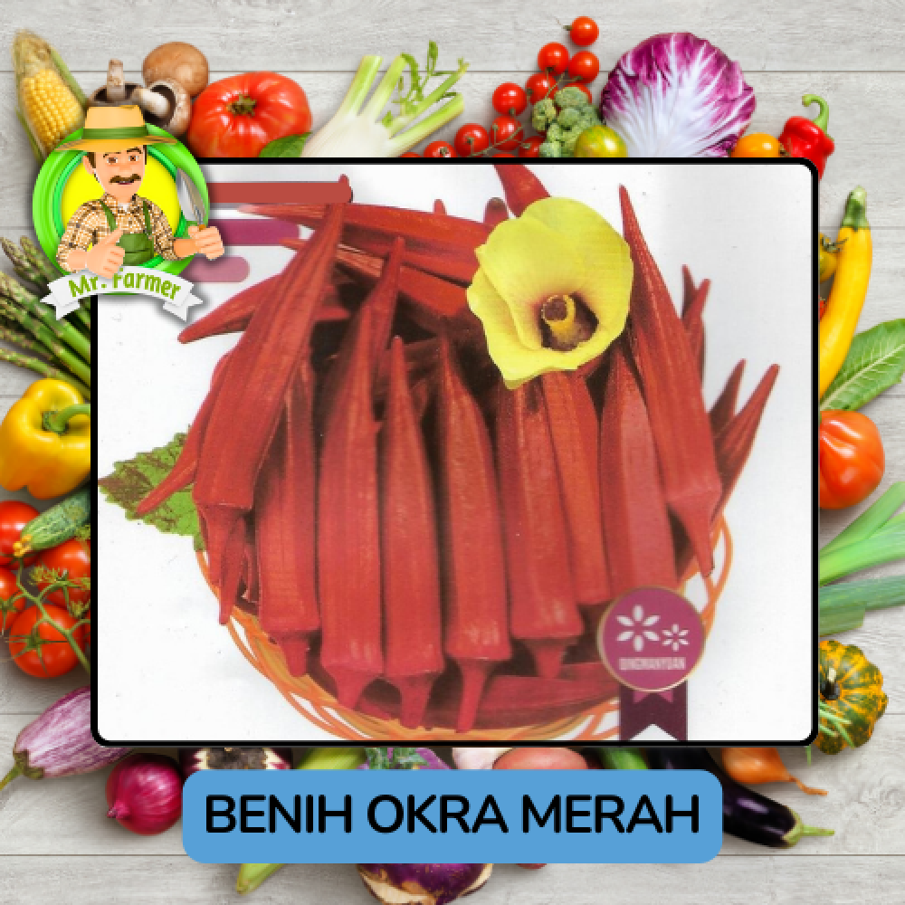 Benih Sayuran Okra Merah Hijau Bibit Biji Tanaman