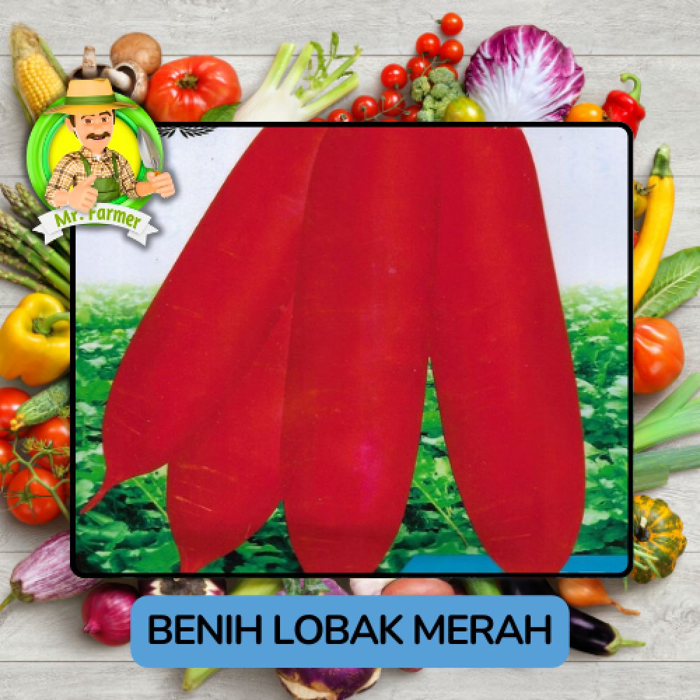 Benih Lobak Merah Bibit Biji Tanaman