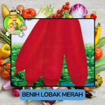 Benih Lobak Merah Bibit Biji Tanaman