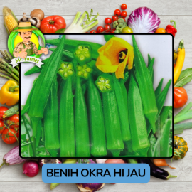 Benih Sayuran Okra Merah Hijau Bibit Biji Tanaman