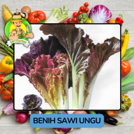 Benih Sayuran Sawi Hijau Putih Bibit Biji Tanaman
