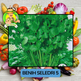 Benih Sayuran Seledri Bibit Biji Tanaman