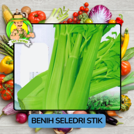 Benih Sayuran Seledri Bibit Biji Tanaman